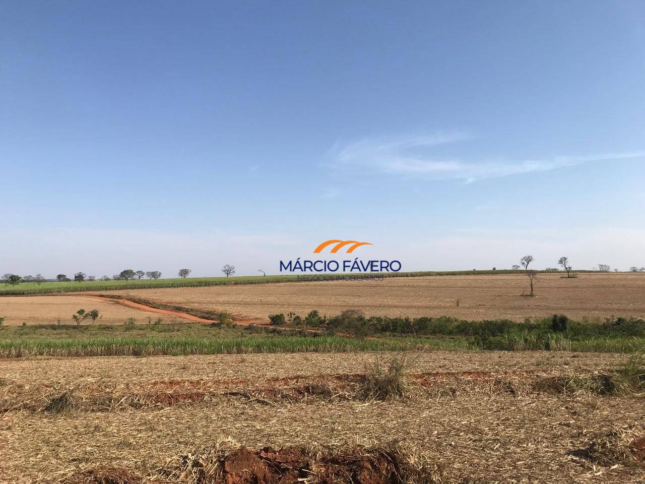 Fazenda, 182 hectares - Foto 1