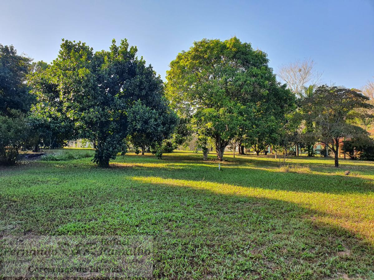 Fazenda à venda com 4 quartos, 5600m² - Foto 60