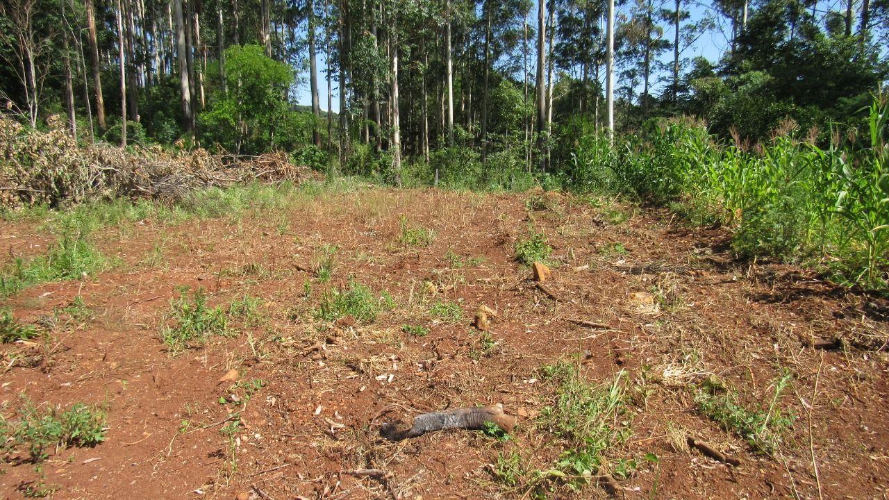 Terreno à venda, 1000m² - Foto 39