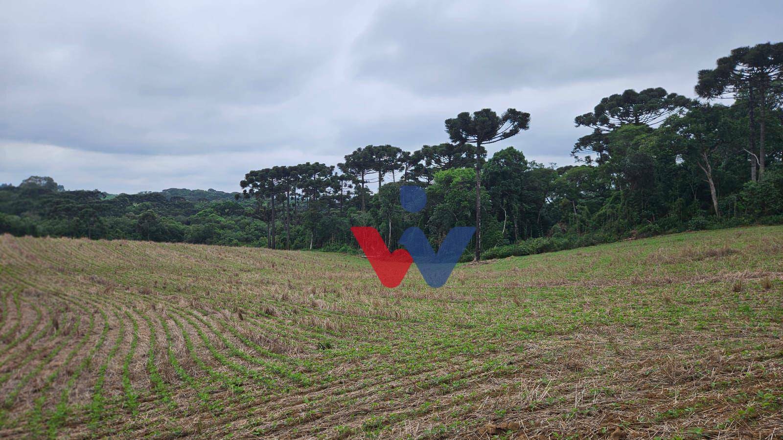 Fazenda à venda com 3 quartos, 1694000M2 - Foto 28