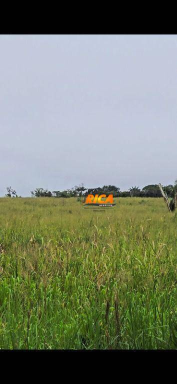 Fazenda à venda com 4 quartos, 2410000M2 - Foto 11