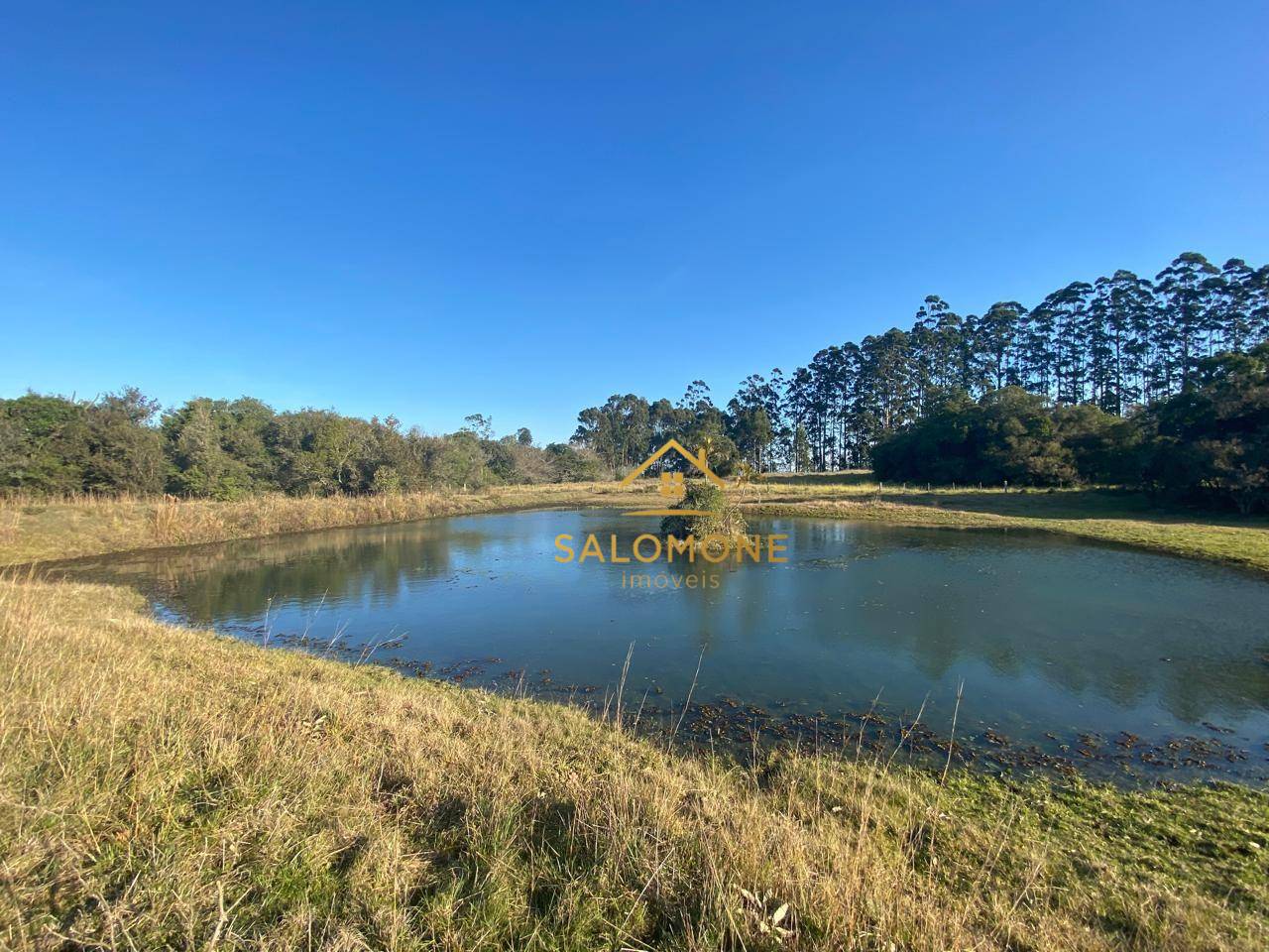 Sítio, 13 hectares - Foto 3