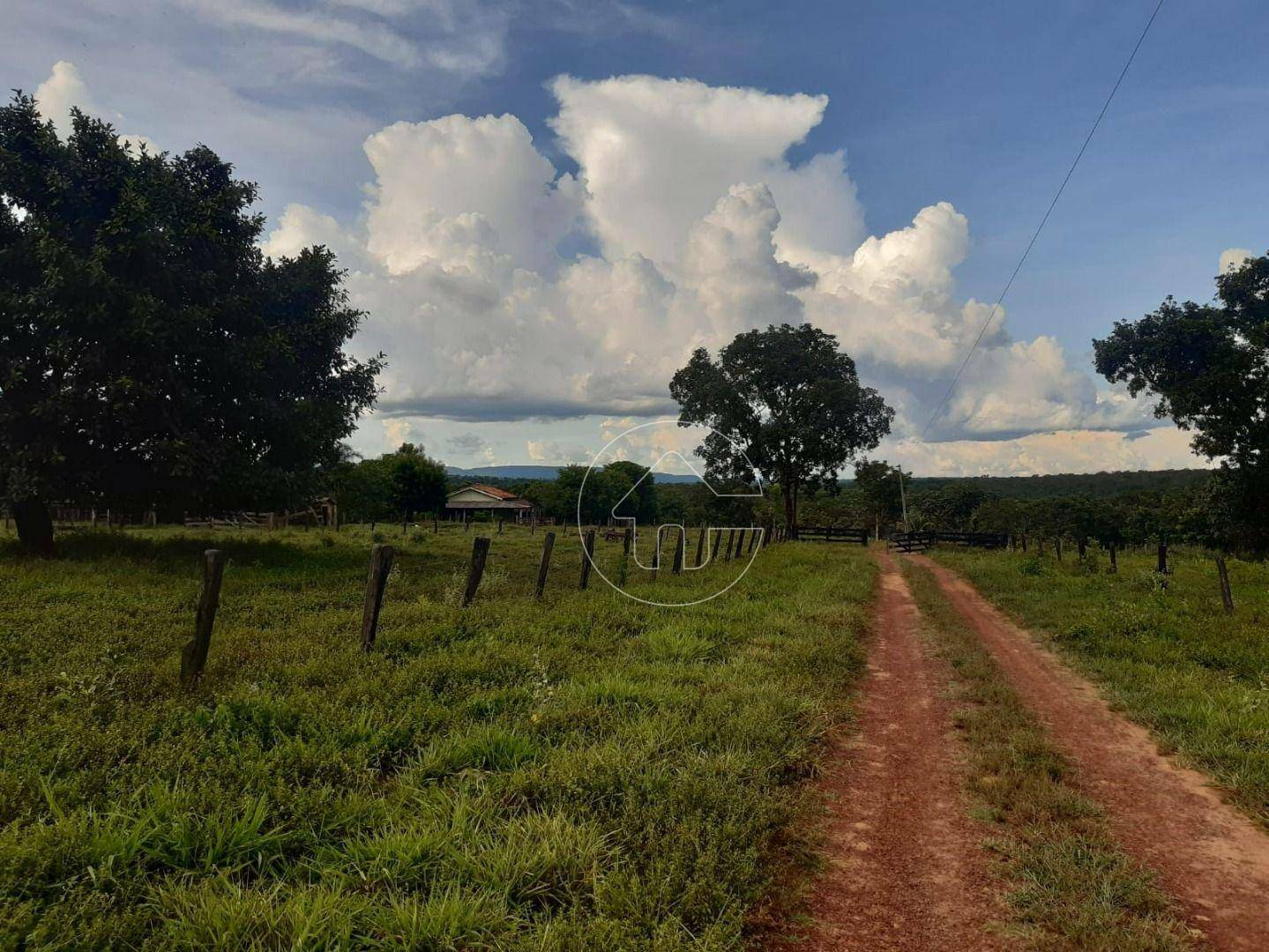 Fazenda à venda, 726000M2 - Foto 15