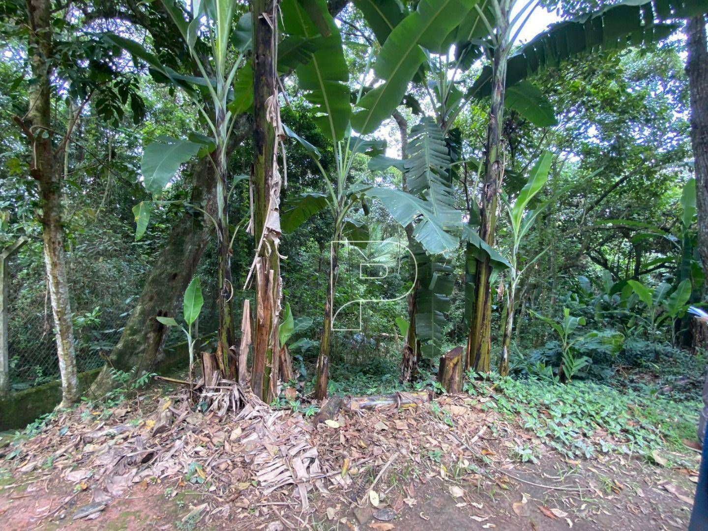 Loteamento e Condomínio à venda, 1000M2 - Foto 3