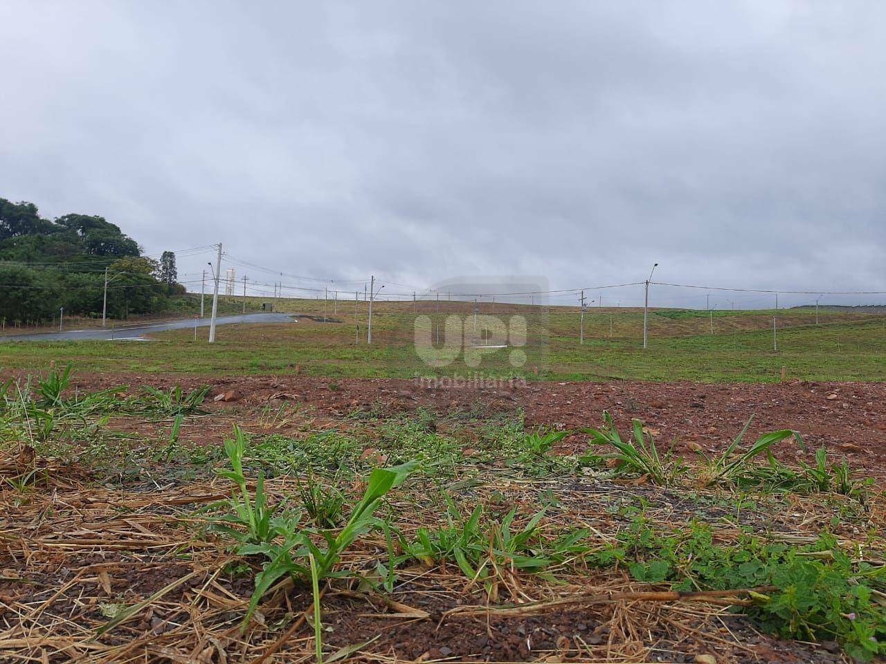 Loteamento e Condomínio à venda, 255M2 - Foto 2