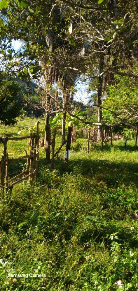 Chácara à venda, 200000M2 - Foto 3