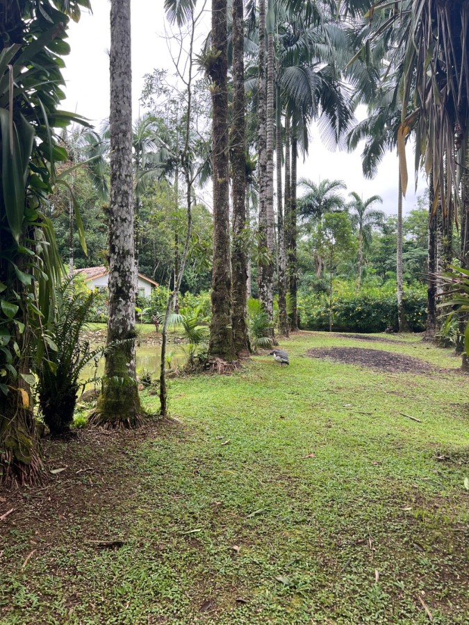 Chácara à venda, 22000m² - Foto 6