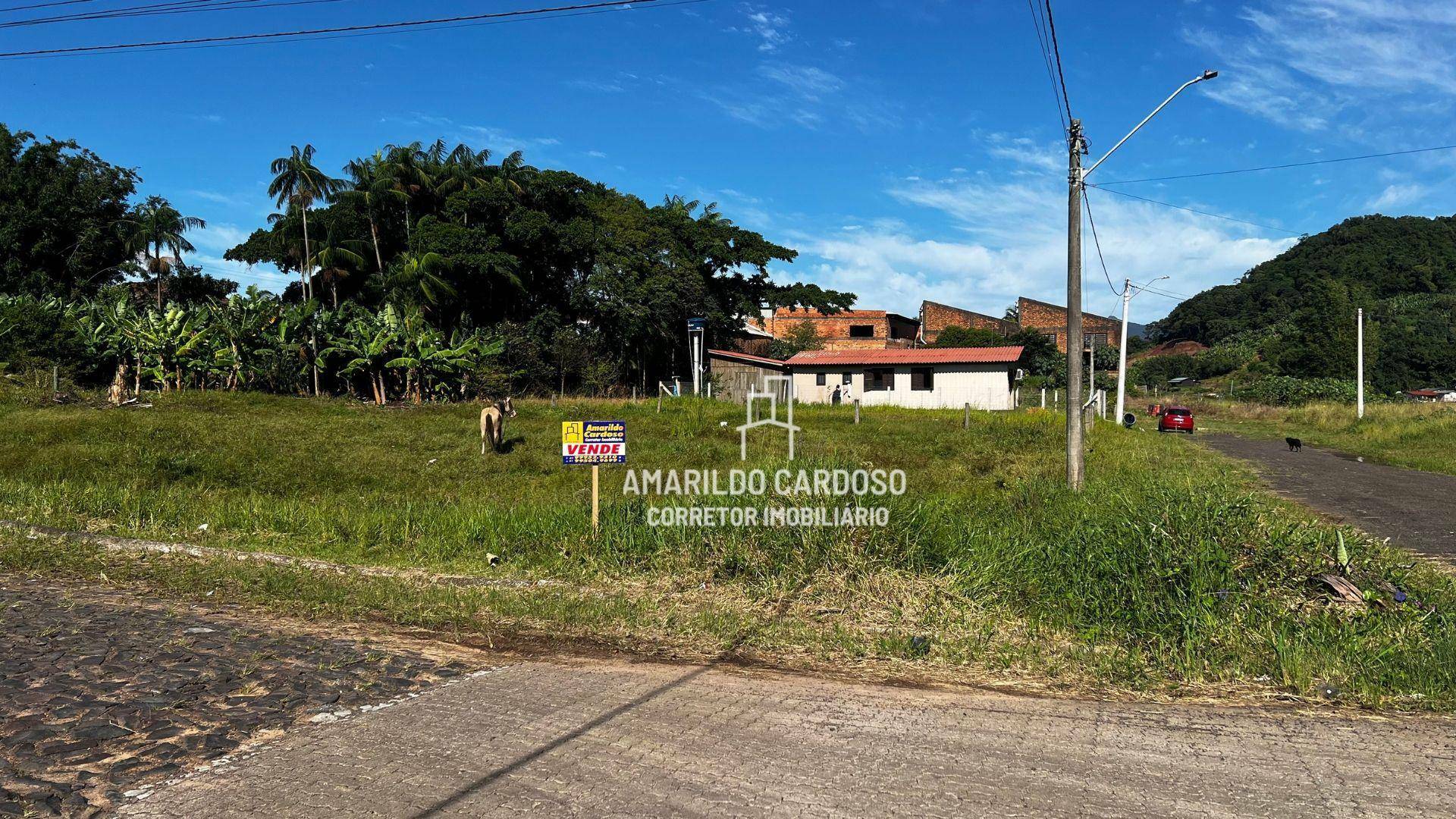 Terreno à venda, 325M2 - Foto 2