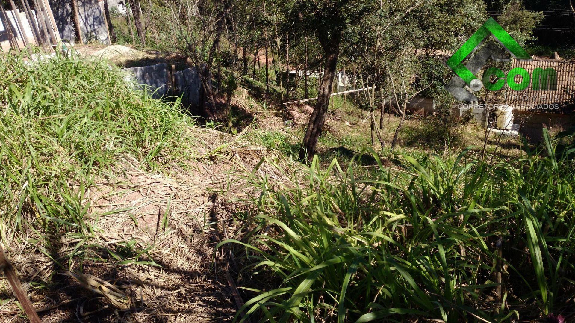 Terreno à venda, 390M2 - Foto 1