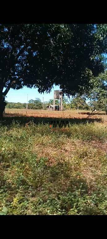 Fazenda-Sítio-Chácara, 11664 hectares - Foto 2