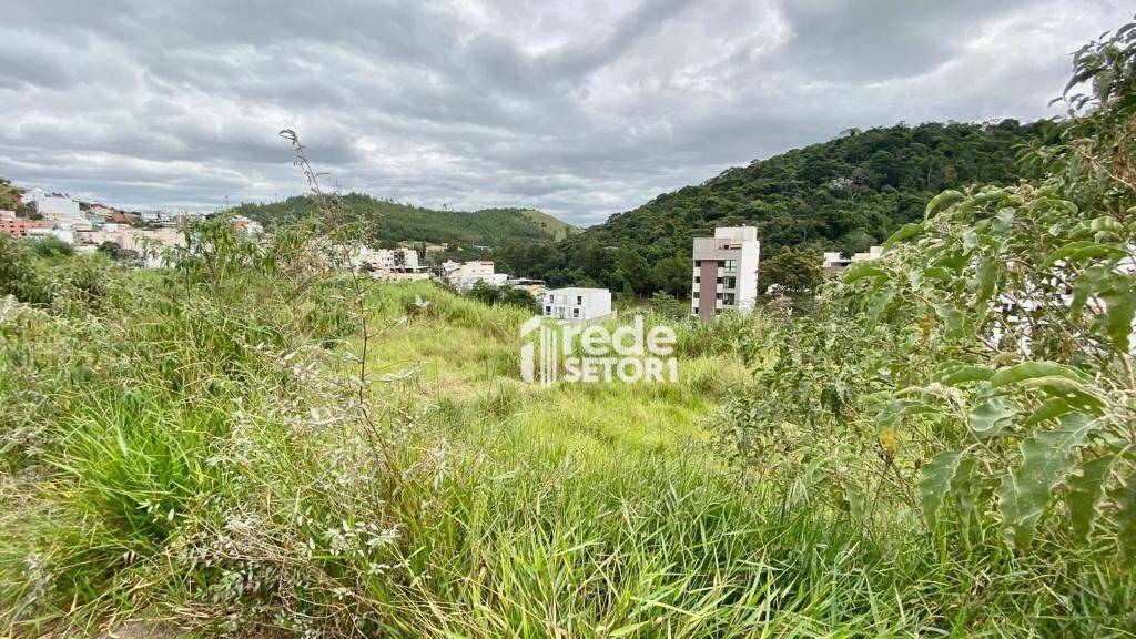 Terreno à venda, 360M2 - Foto 5