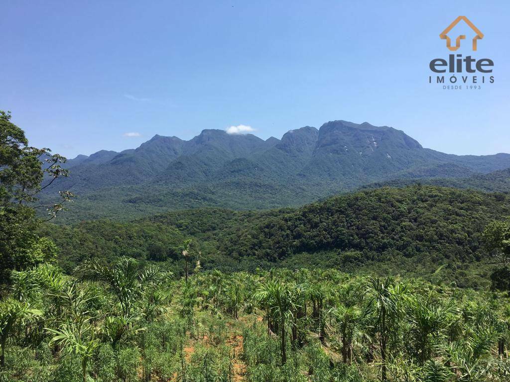 Fazenda à venda com 5 quartos, 4822600M2 - Foto 26