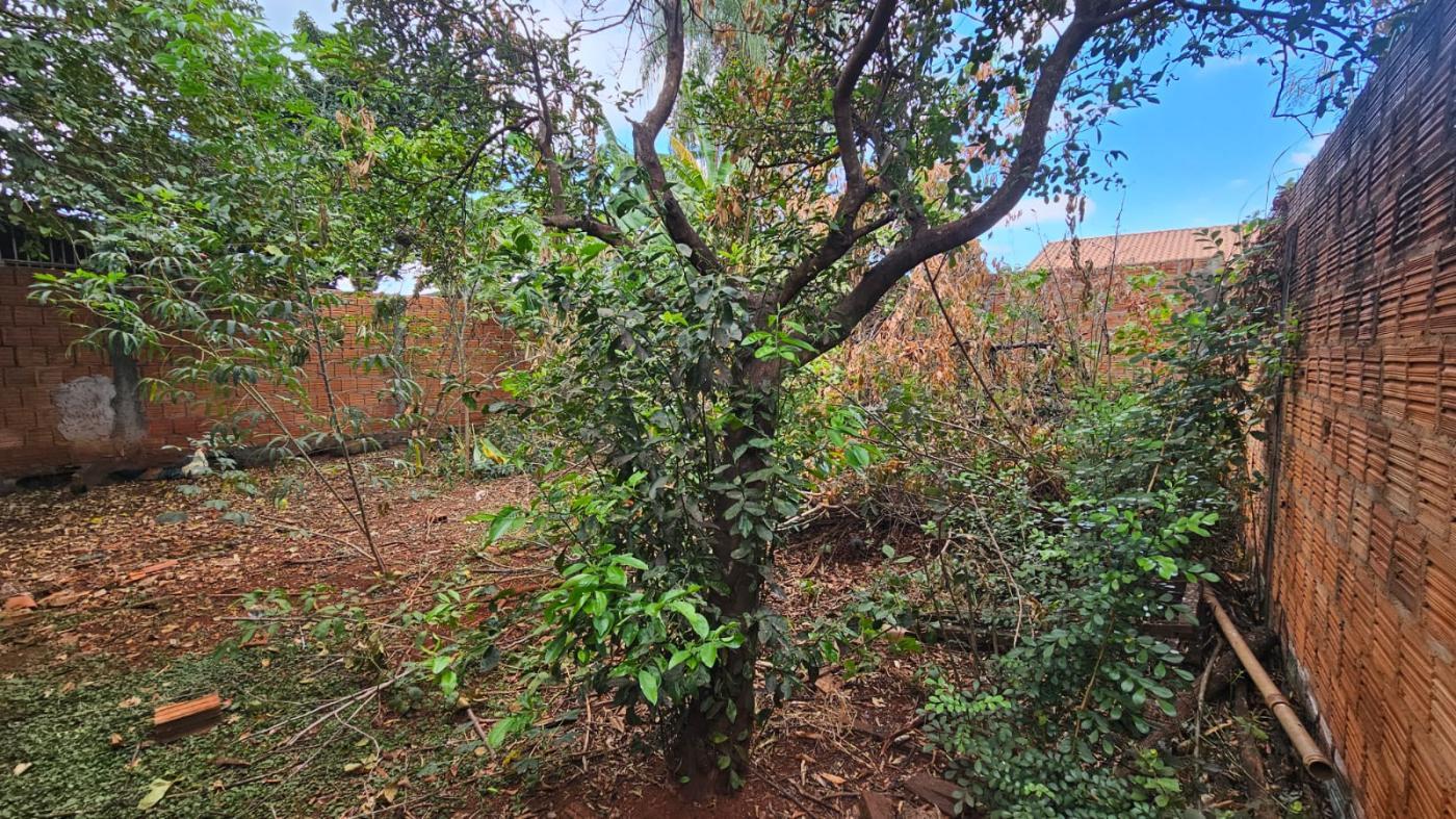 Terreno à venda - Foto 6