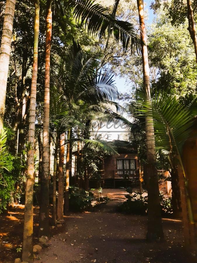 Sítio à venda, 600m² - Foto 3