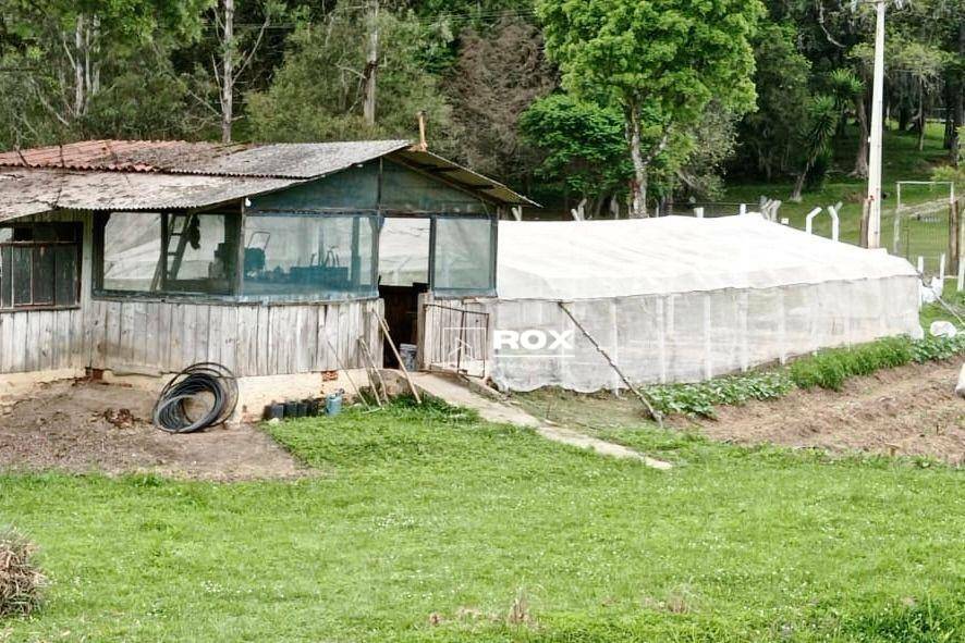 Chácara à venda com 6 quartos, 350m² - Foto 24