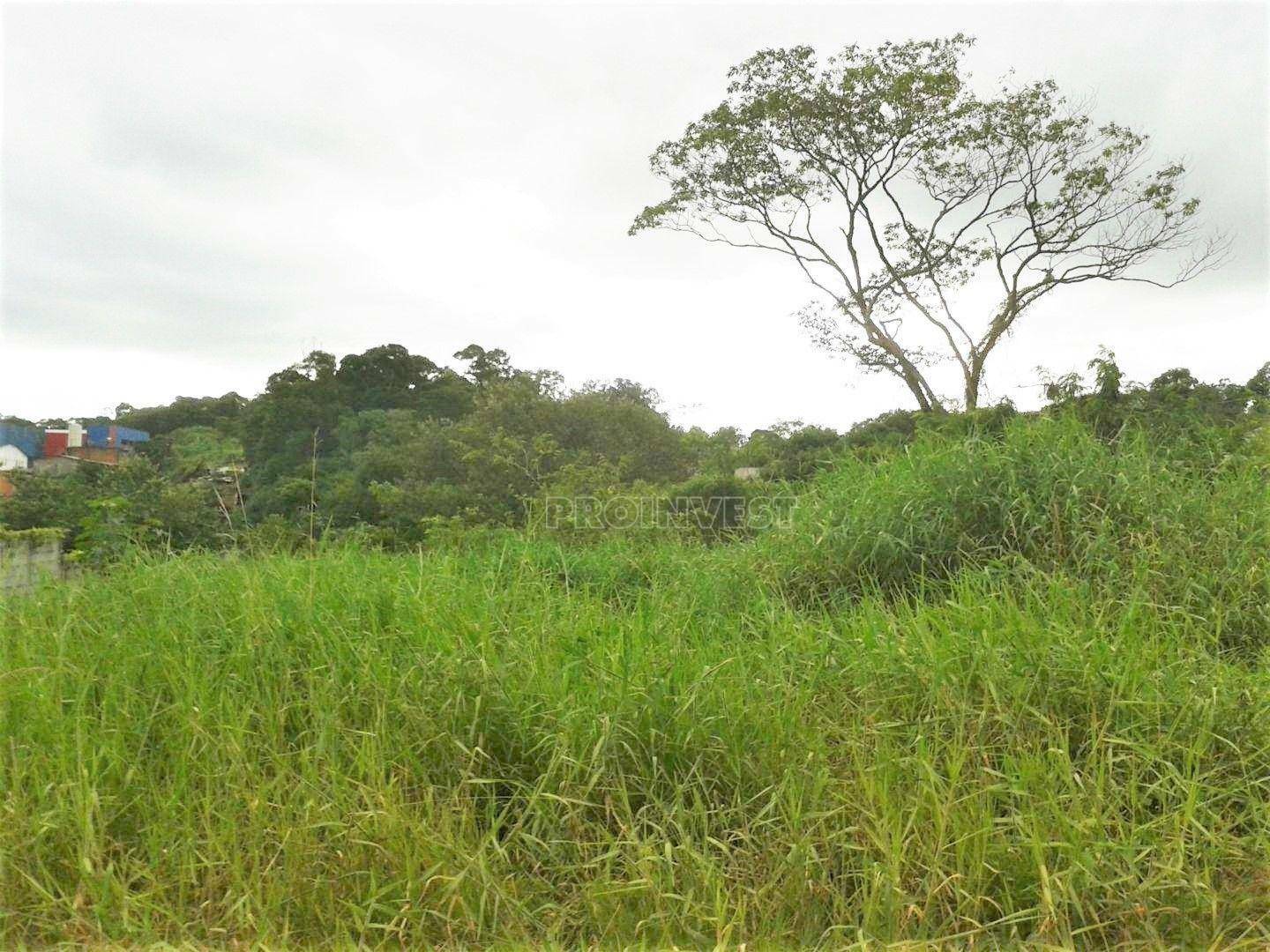 Loteamento e Condomínio à venda, 2480M2 - Foto 3