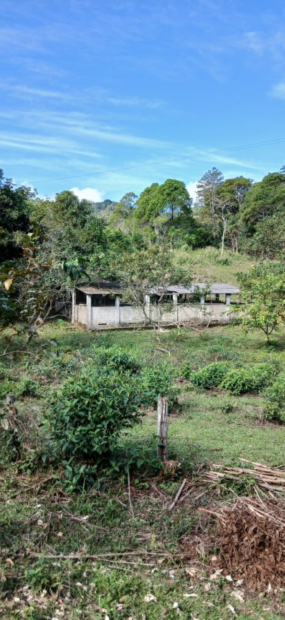Sítio à venda com 5 quartos, 285m² - Foto 34