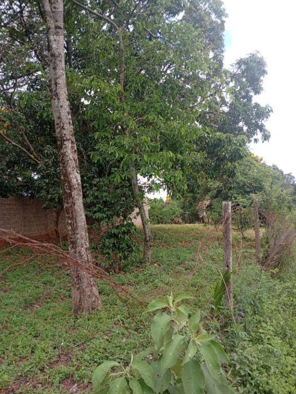 Terreno, 400 m² - Foto 6