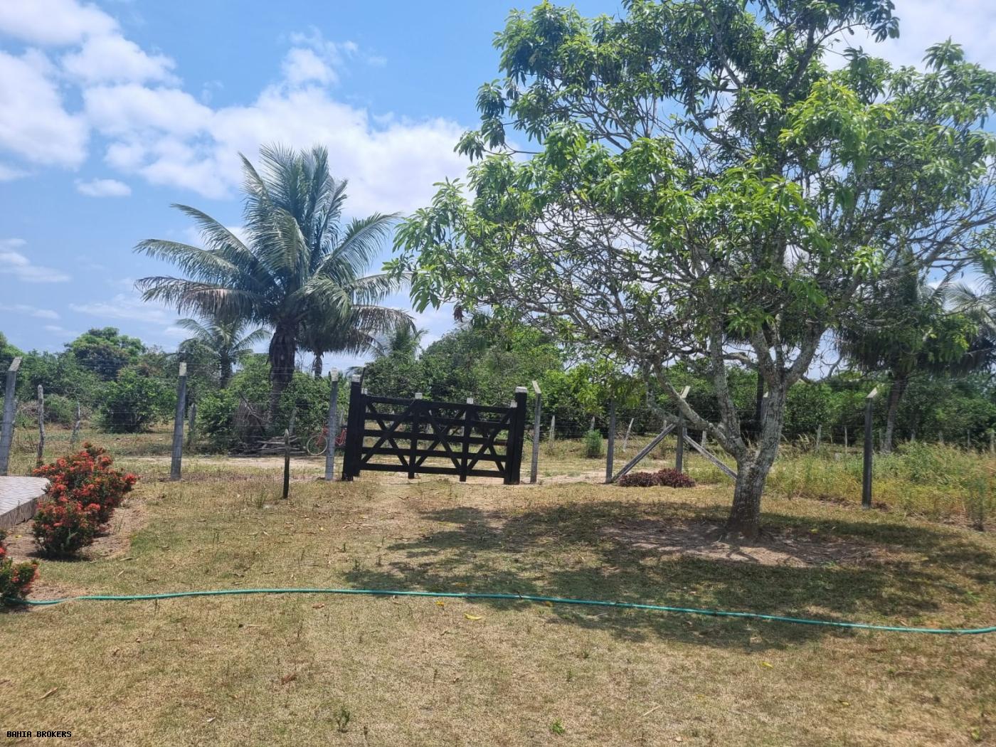 Fazenda à venda, 1000m² - Foto 49