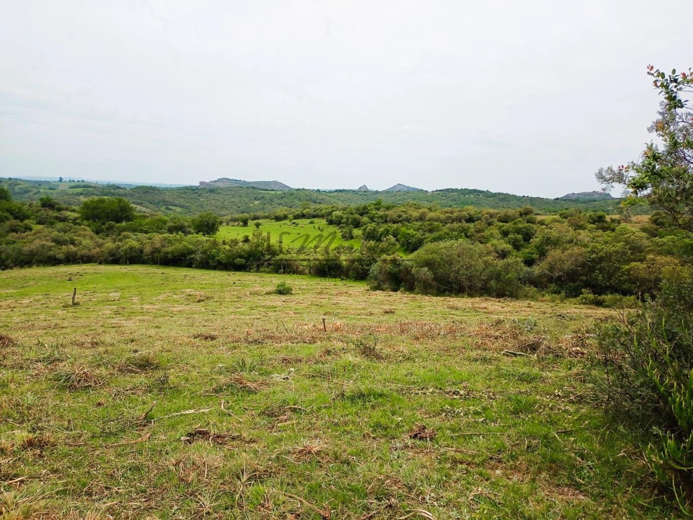 Fazenda à venda, 208m² - Foto 7