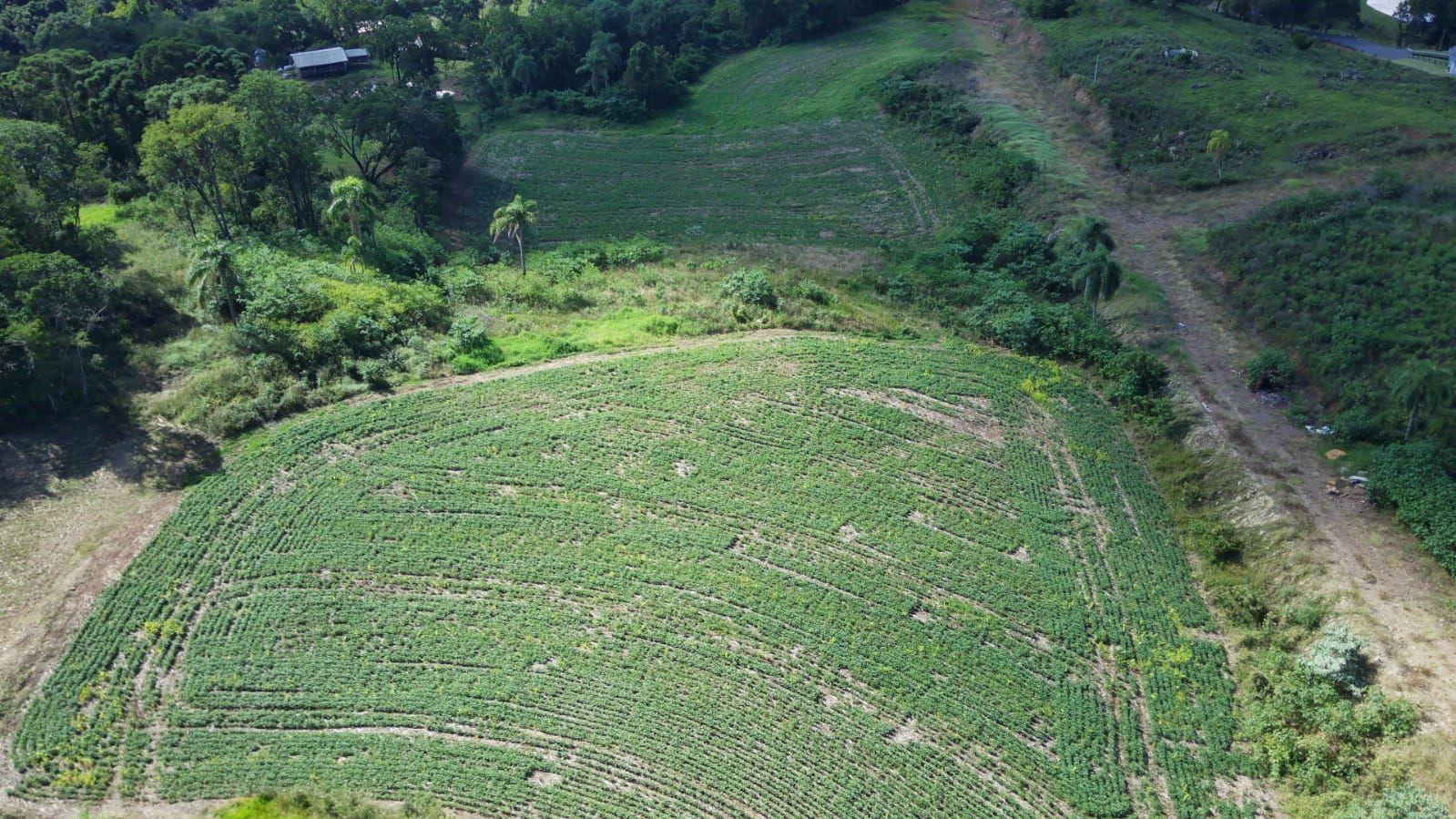 Terreno à venda, 3500m² - Foto 3