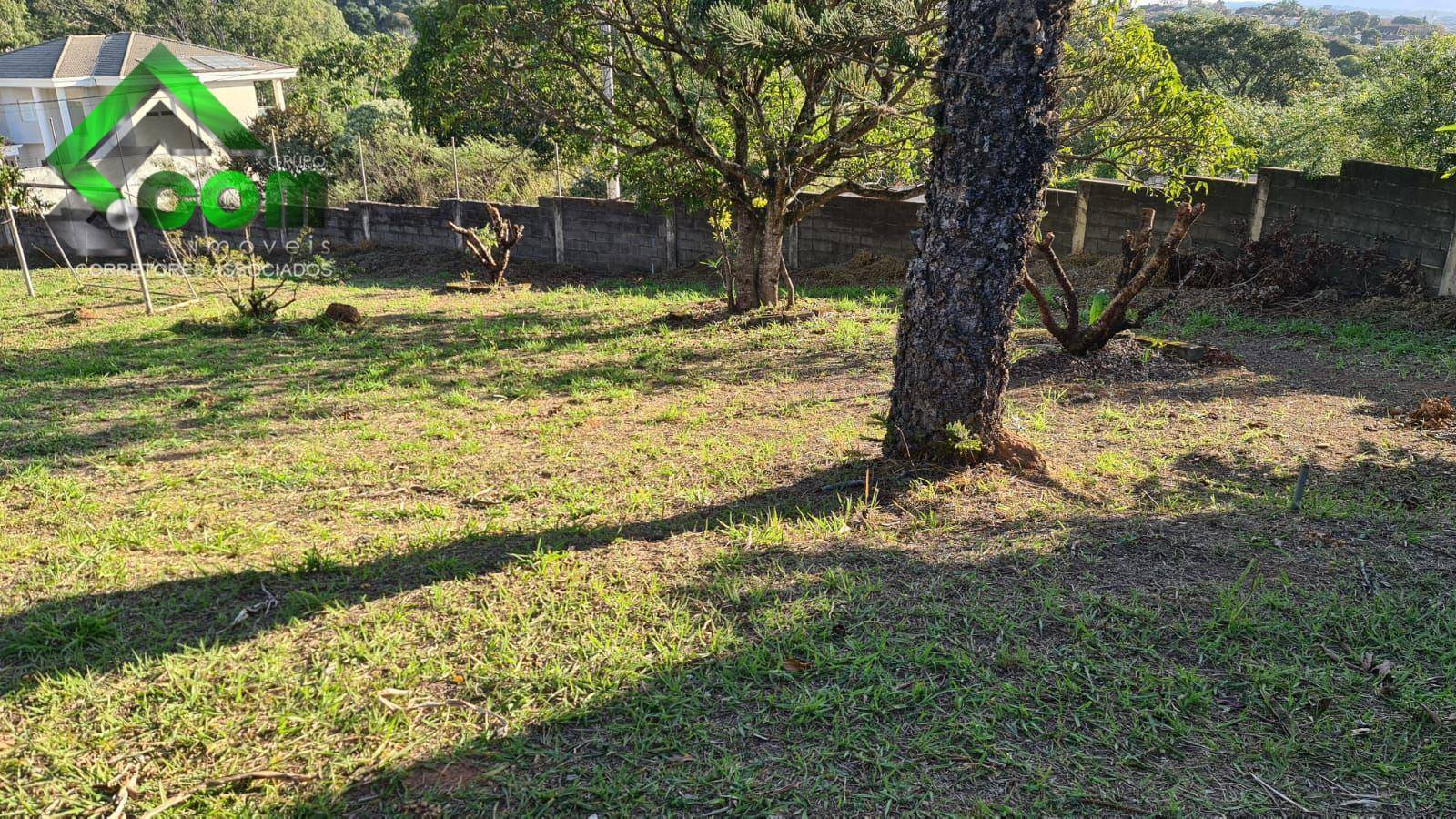 Terreno, 250 m² - Foto 4