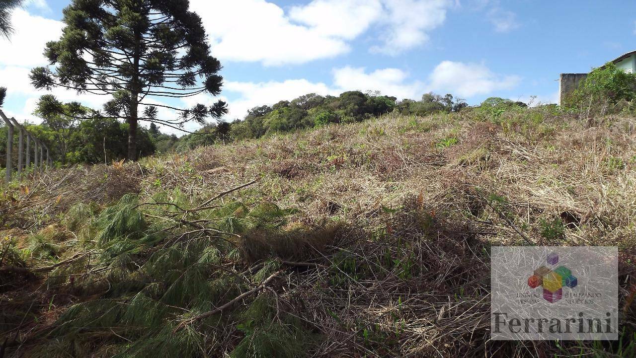 Terreno à venda, 573M2 - Foto 3