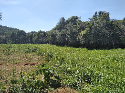 Terreno à venda, 24200M2 - Foto 4