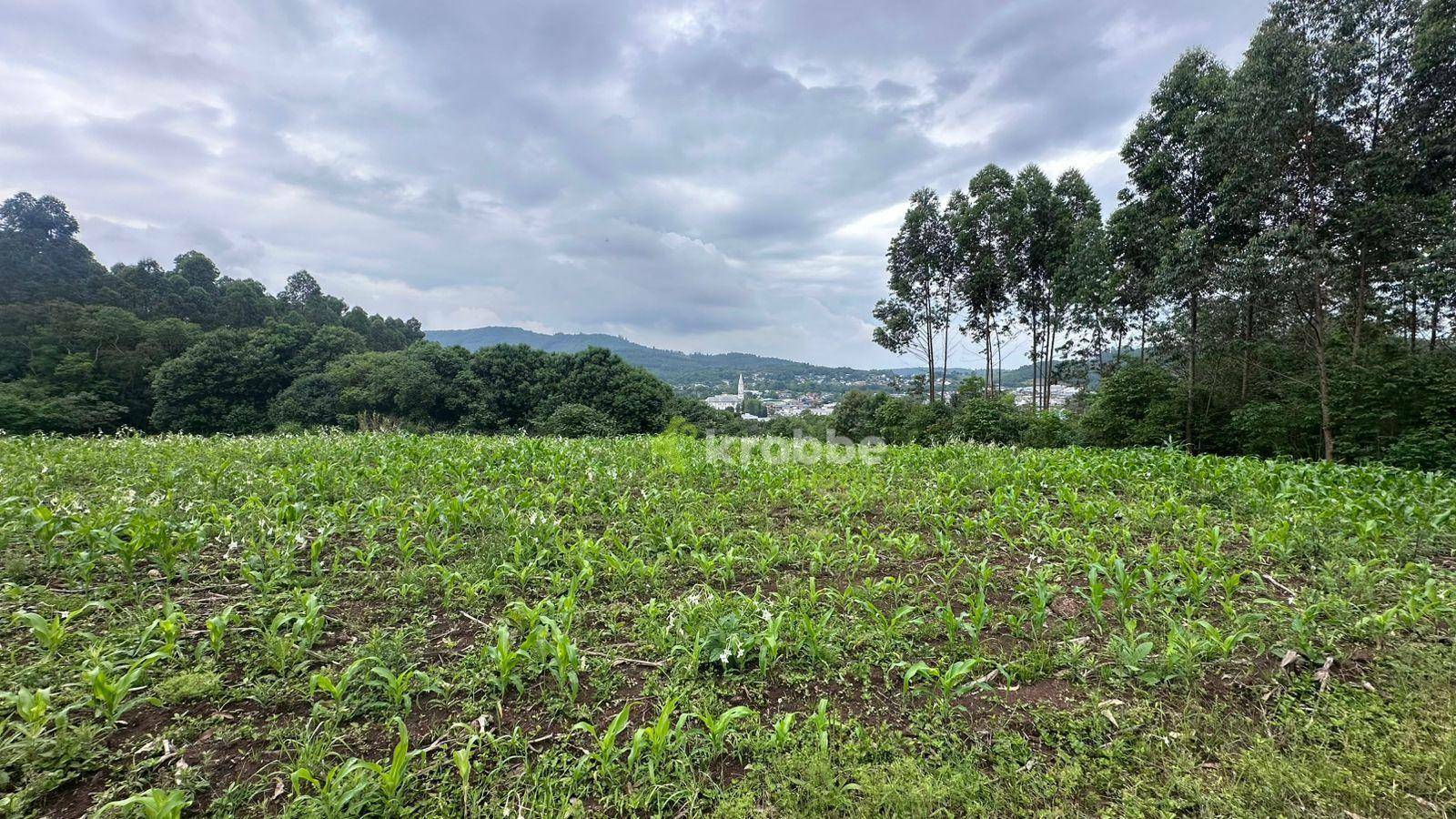 Terreno à venda, 13609M2 - Foto 5