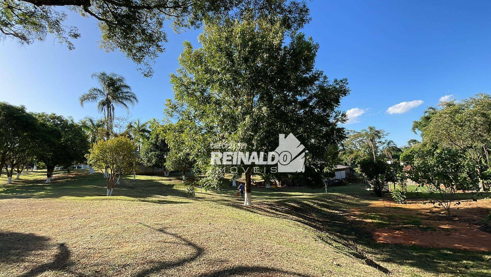 Sítio à venda com 2 quartos, 800m² - Foto 22