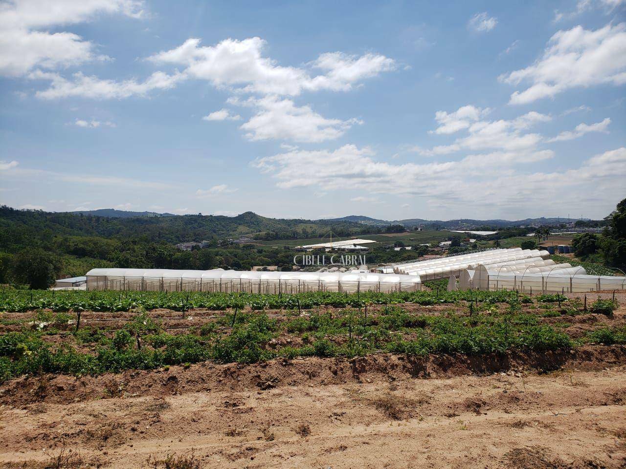 Terreno à venda, 84000M2 - Foto 18