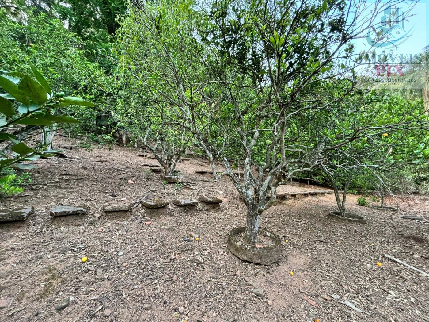 Fazenda à venda com 9 quartos, 930m² - Foto 41