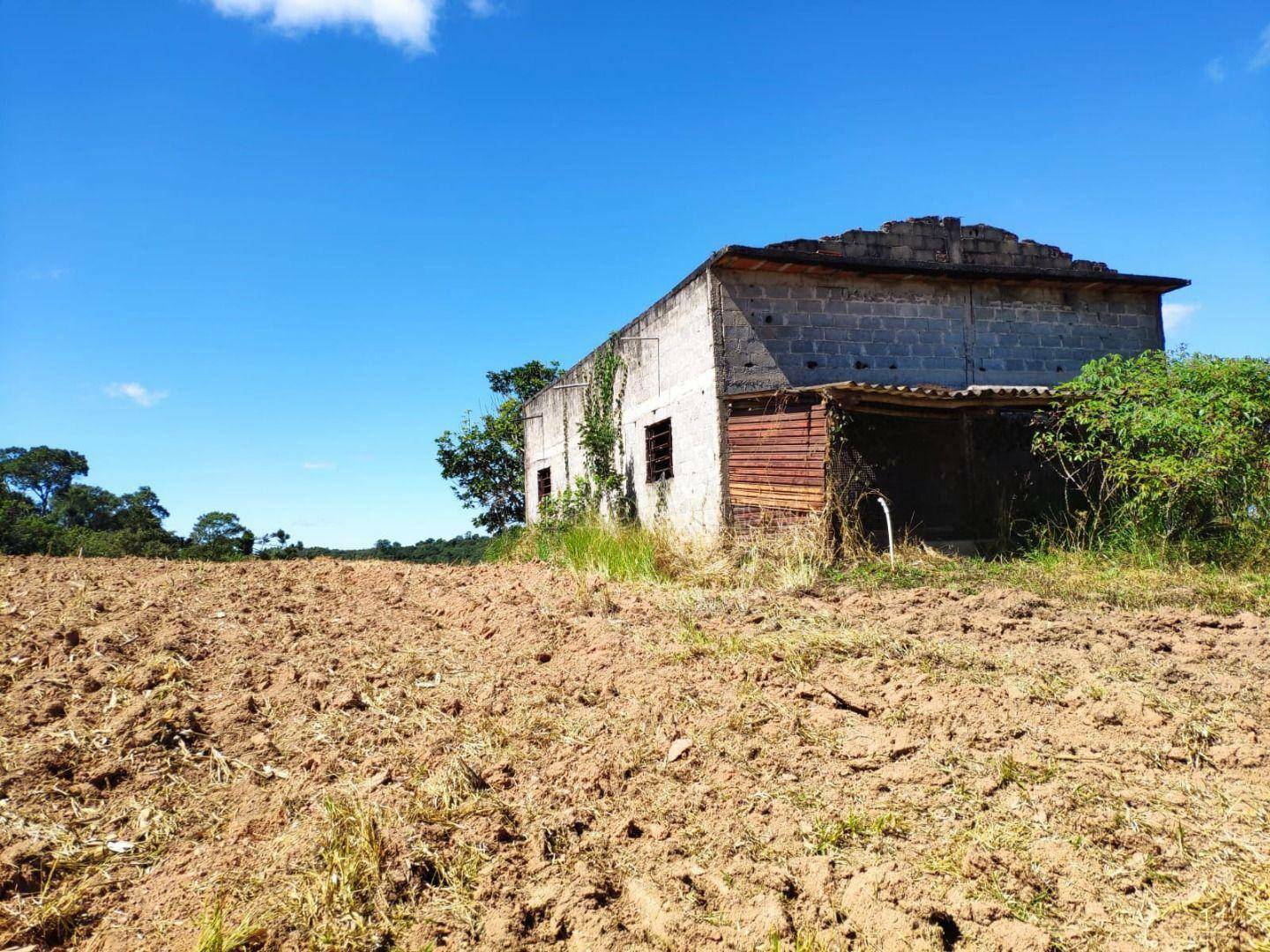 Sítio à venda com 4 quartos, 200m² - Foto 11