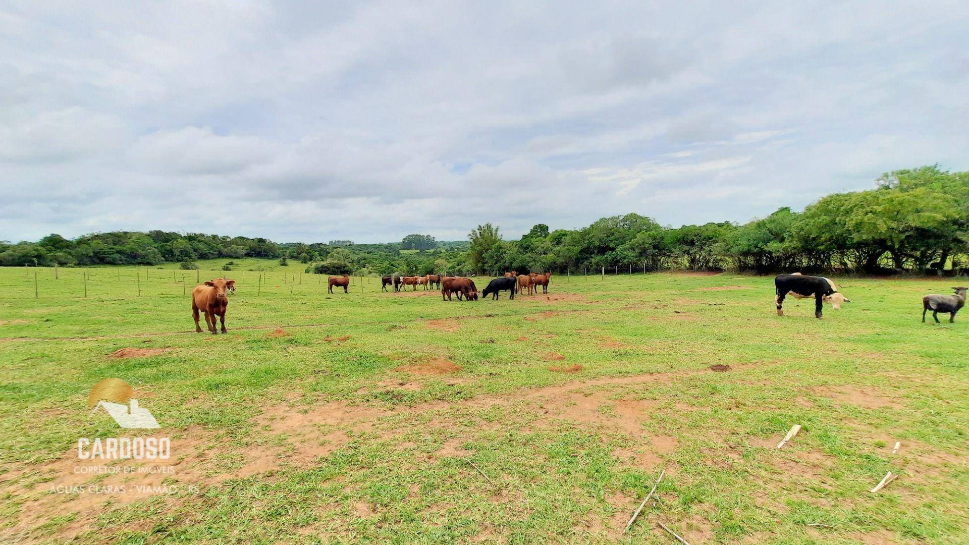 Fazenda à venda, 900000M2 - Foto 2