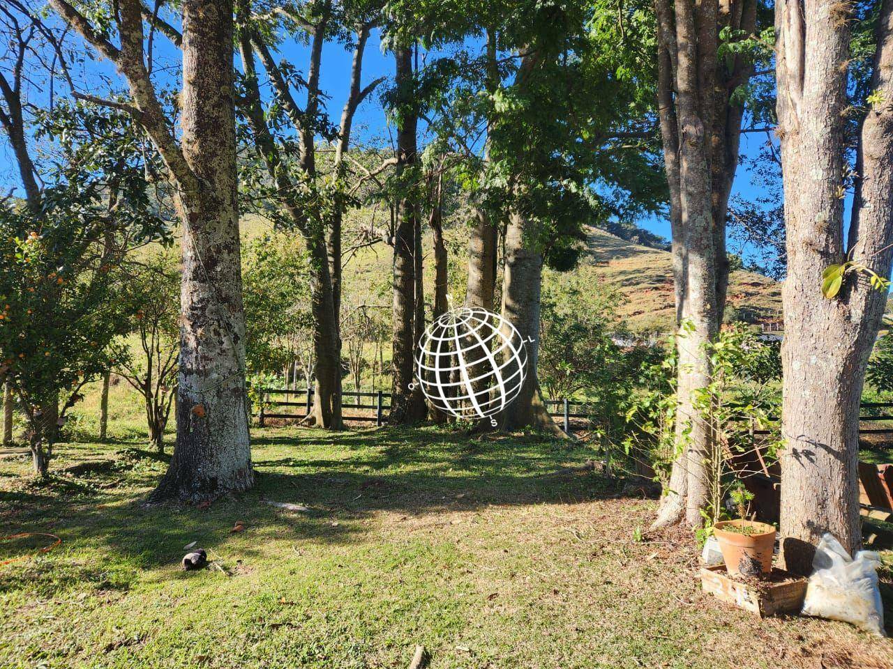 Chácara, 3 quartos, 3 hectares - Foto 3