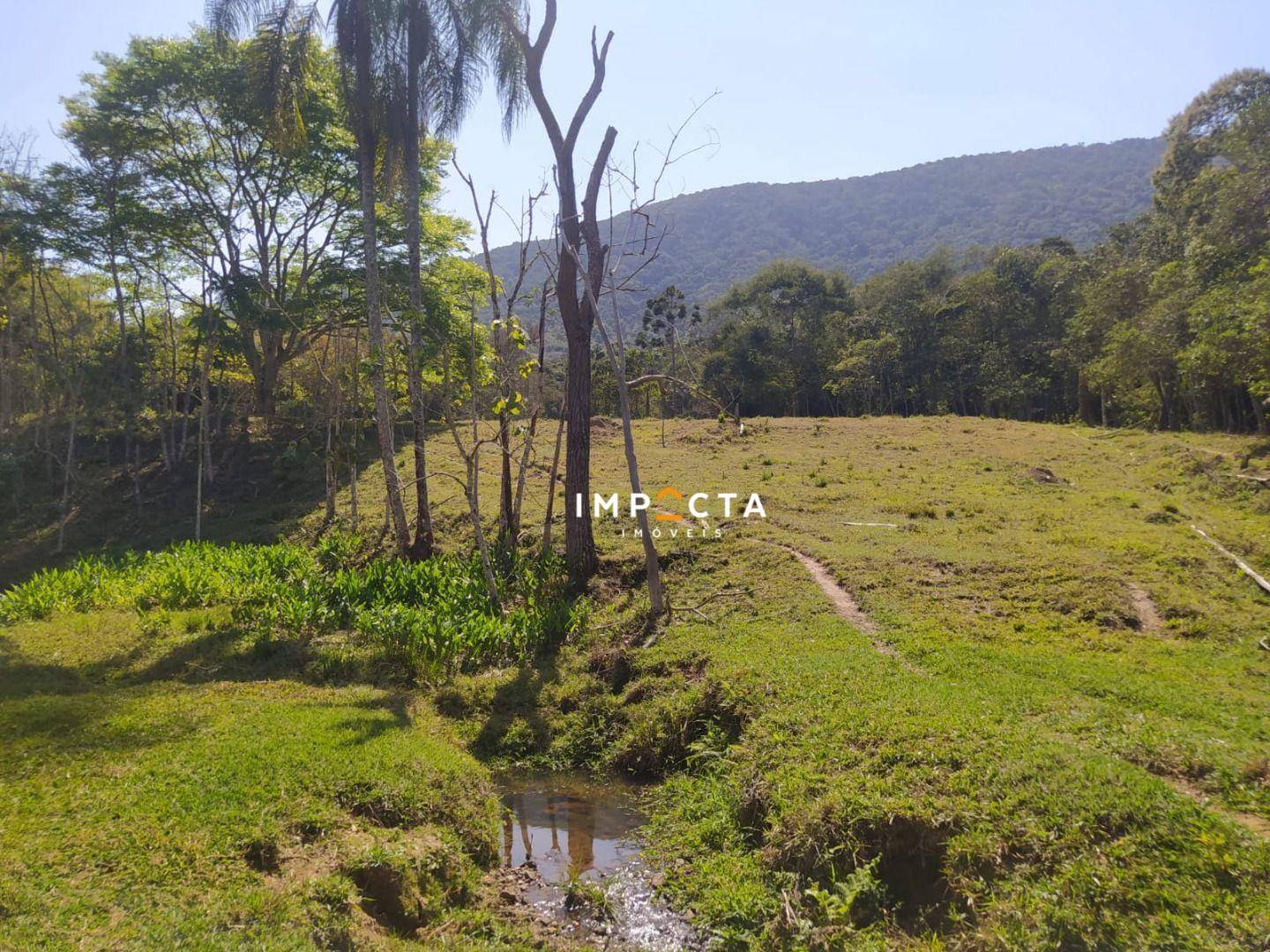 Terreno, 3 hectares - Foto 2