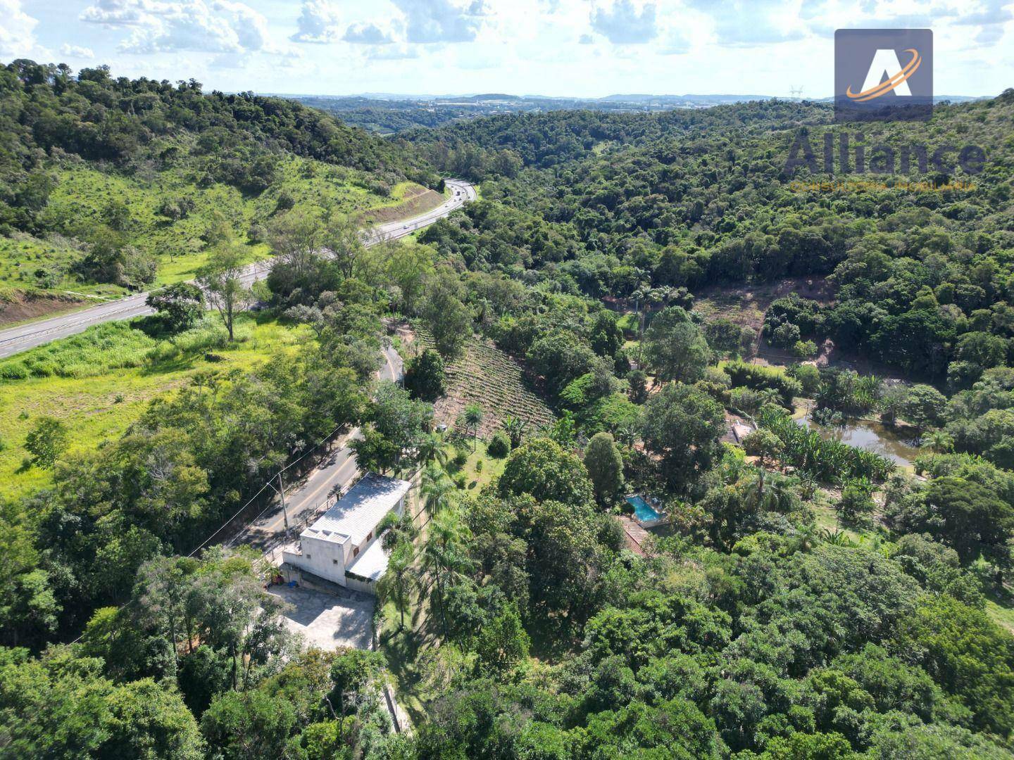 Terreno, 3 hectares - Foto 13