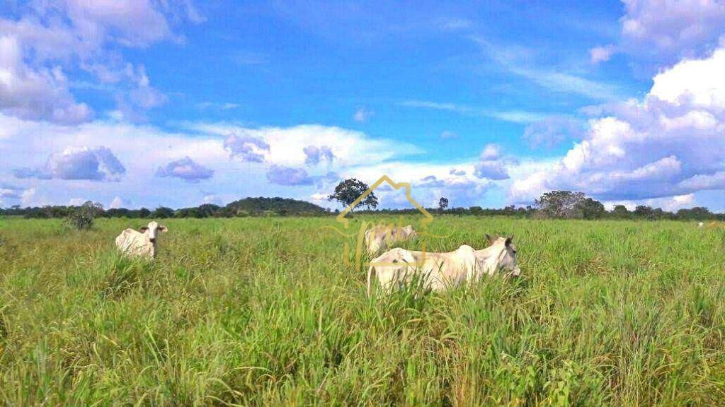 Fazenda à venda com 3 quartos, 250m² - Foto 6