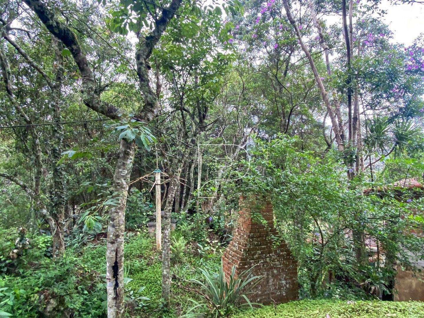 Terreno à venda, 3146M2 - Foto 11