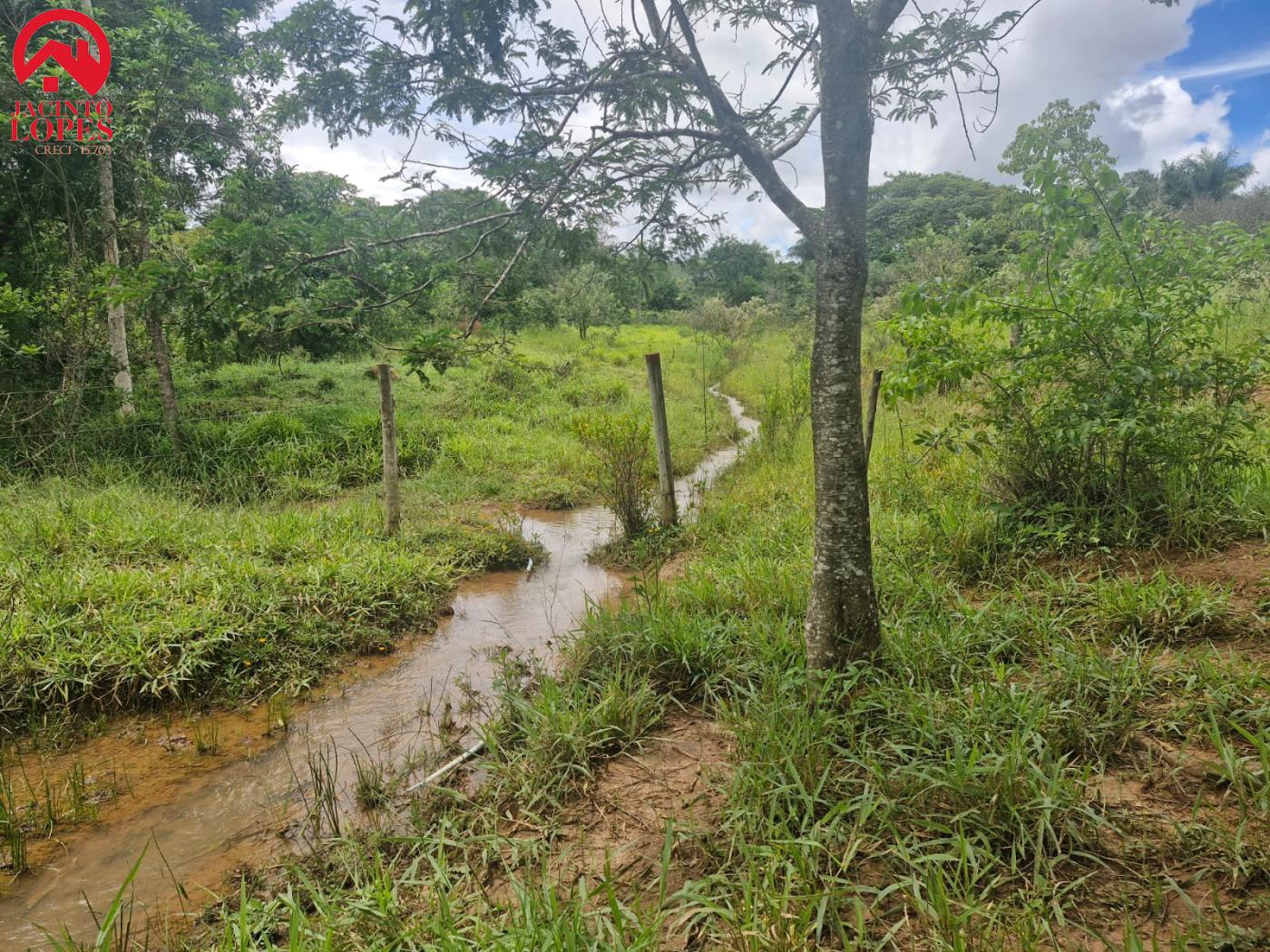 Fazenda à venda com 2 quartos, 120m² - Foto 53