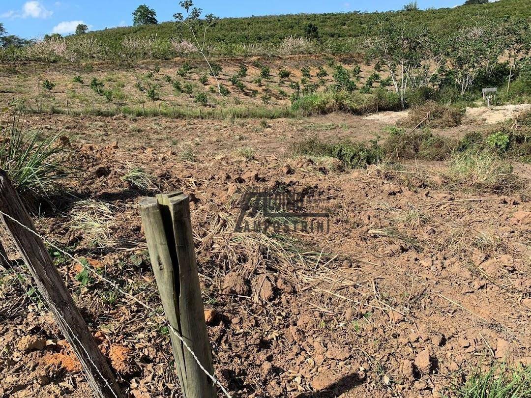 Fazenda à venda, 2420000M2 - Foto 12