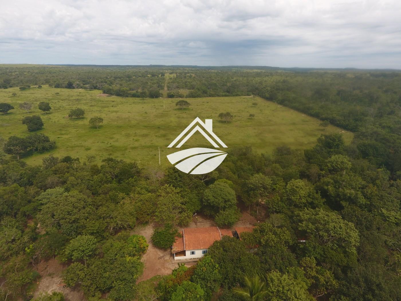 Fazenda à venda, 1m² - Foto 11