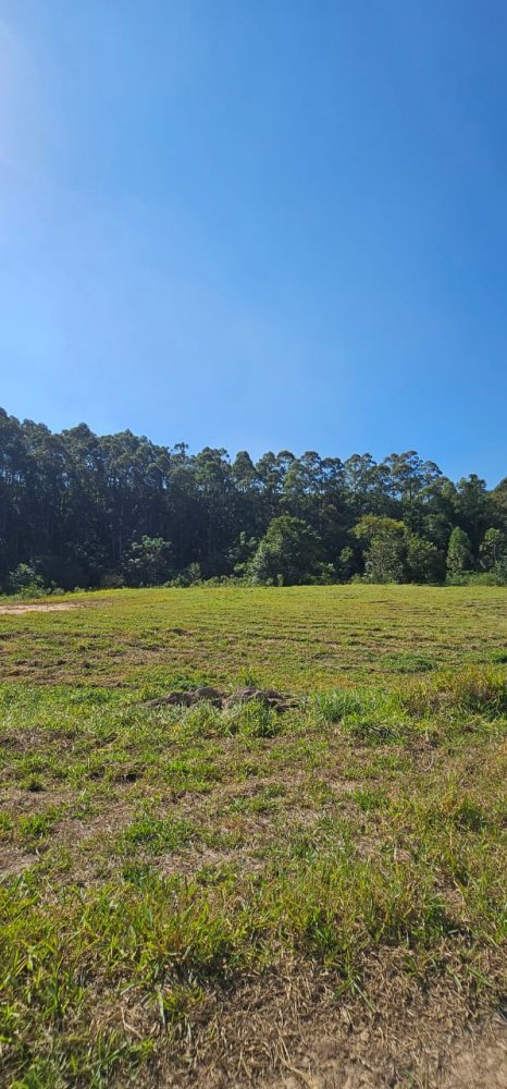 Terreno à venda, 1000m² - Foto 6