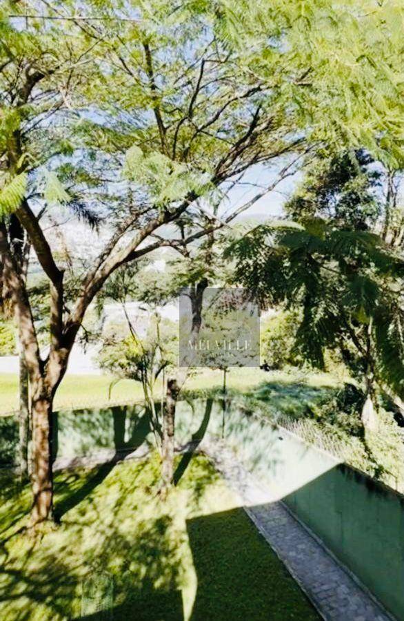 Chácara, 5 quartos, 5381 m² - Foto 3