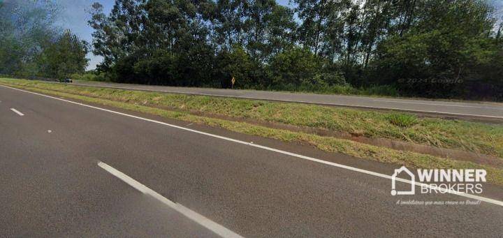 Terreno, 2 hectares - Foto 3