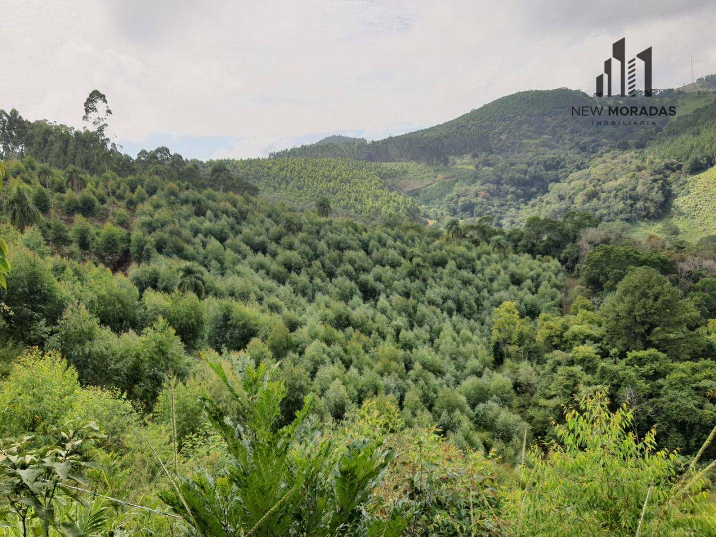 Chácara à venda com 2 quartos, 48400M2 - Foto 15