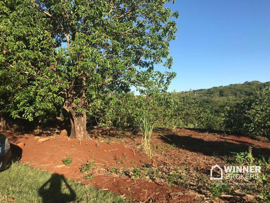 Chácara à venda com 1 quarto, 3000M2 - Foto 8