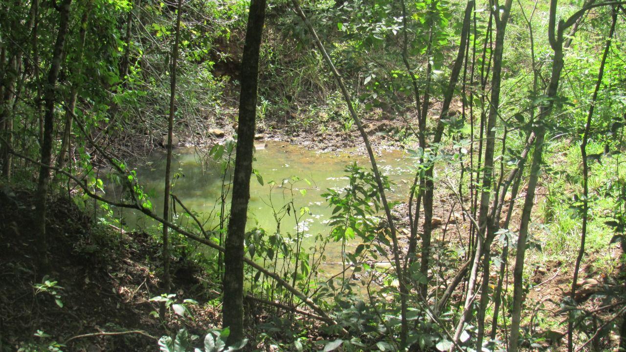 Loteamento e Condomínio à venda, 120000m² - Foto 29