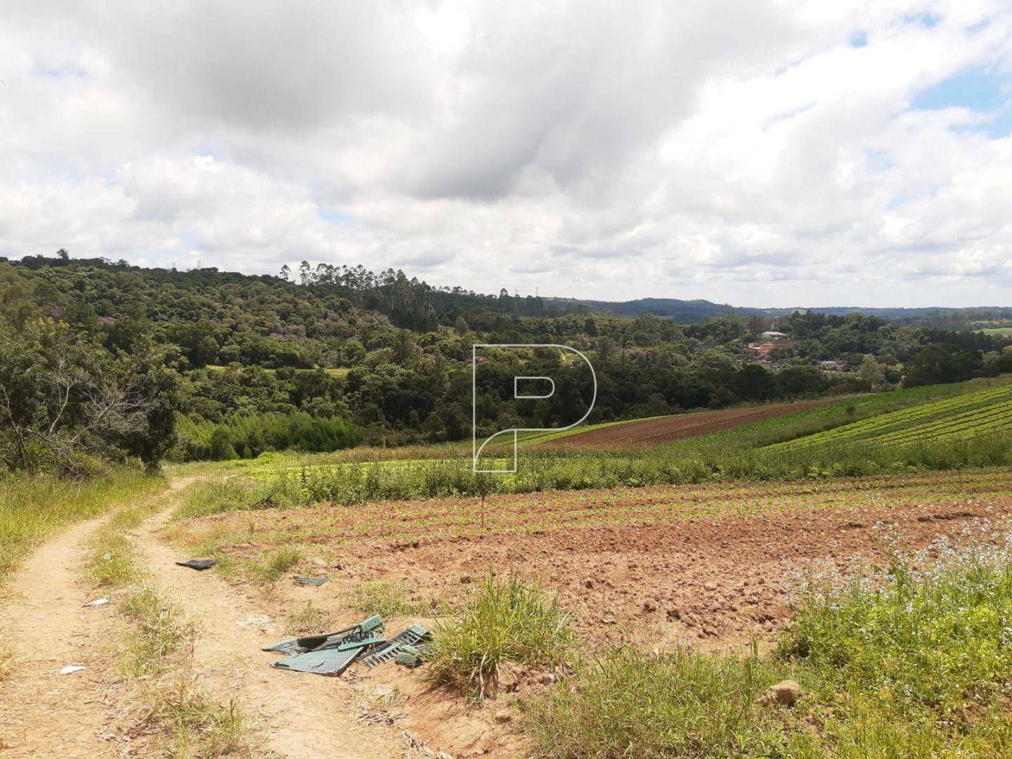 Terreno à venda, 39000M2 - Foto 27