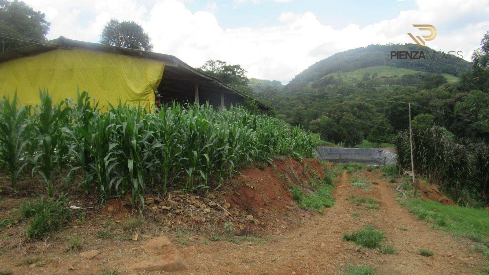 Terreno à venda, 101000M2 - Foto 18